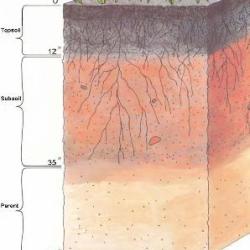 Candy Science: Edible Soil Layers, S.T.E.A.M. Team Tuesdays